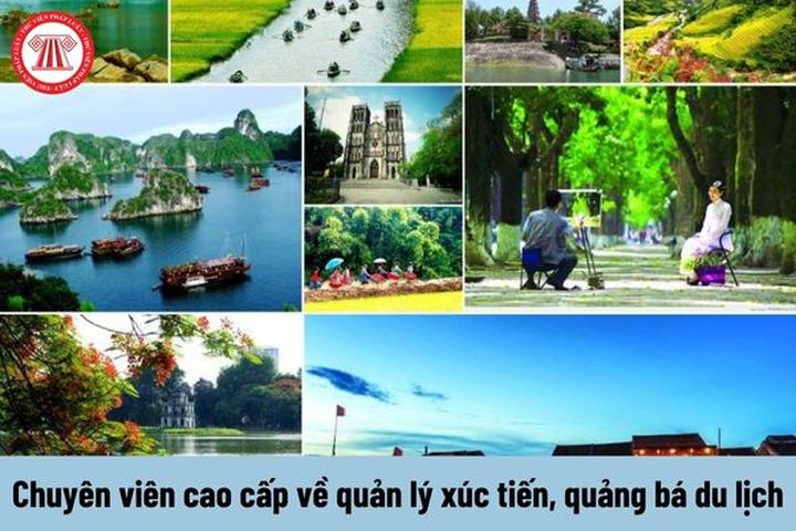 Học tiếng Anh và tìm thấy tình yêu: Câu chuyện của chị An và anh David