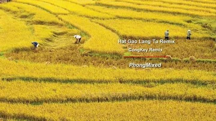 Từ 4 loại cây dụ rắn bò vào nhà, đến chiến lược content: Hotspot Matrix chia sẻ