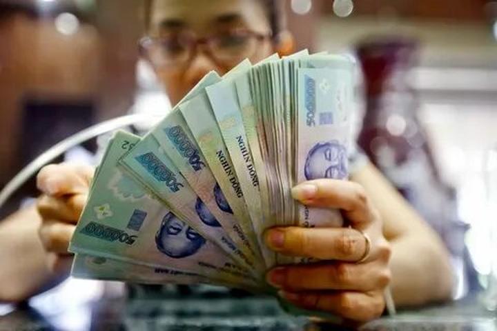 Bonobo: Nguồn Gốc Tiến Hóa Của Ngôn Ngữ Con Người?